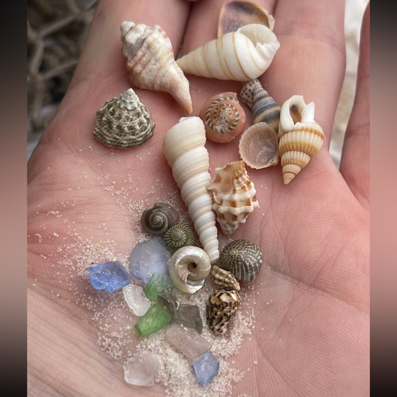 REAL BEACH SAND, SHELLS & SEA GLASS BITS CRAFTING CANDLES SOAP RESIN ART DIY LOT - Picture 10 of 17